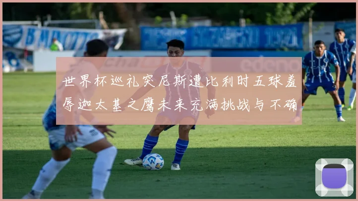 世界杯巡礼突尼斯遭比利时五球羞辱迦太基之鹰未来充满挑战与不确定性